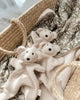 Pop Ya Tot - Little Teddy Comforter Toy - Beige Pop Ya Tot