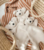 Pop Ya Tot - Little Teddy Comforter Toy - Beige Pop Ya Tot